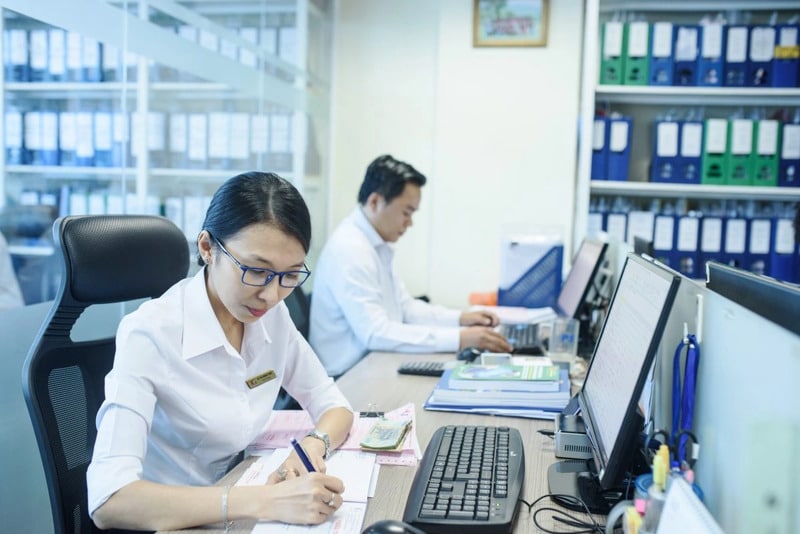 Công ty có hoạt động hay chưa thì vẫn phải có kế toán để hỗ trợ khai báo thuế định kỳ