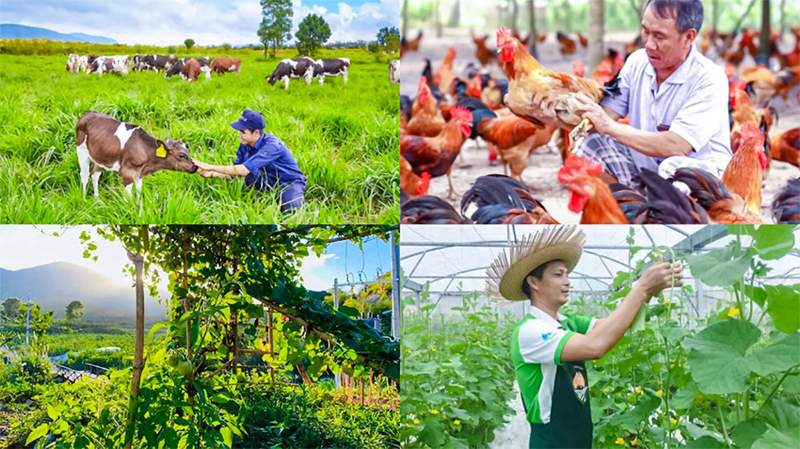 Hợp tác với nhà cung cấp uy tín, kiểm tra chất lượng nghiêm ngặt và ký hợp đồng dài hạn