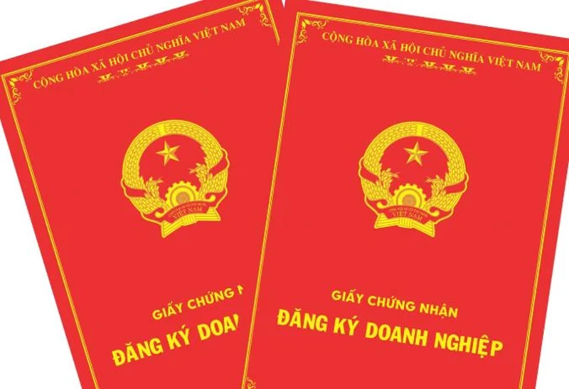 Nhận giấy chứng nhận đăng ký doanh nghiệp mới sau khi thay đổi người đại diện pháp luật