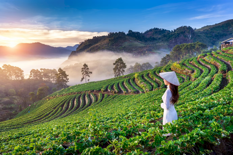 Quý khách cần xác định thị trường và khách hàng tiềm năng để có thể xây dựng chiến lược kinh doanh phù hợp